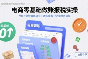 电商零基础做账报税实操快速上手，从0-1学会套账建立，做账准备，企业税务申报