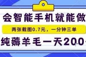 手机项目，二十秒一单，纯薅羊毛一天2张+做就有【揭秘】