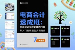 电商会计速成班，电商会计全程处理的技能
