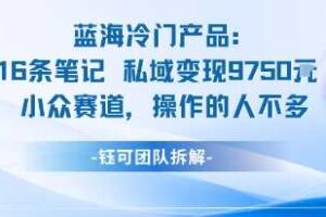蓝海项目：16条笔记私域变现9750米小众赛道操作的人不多