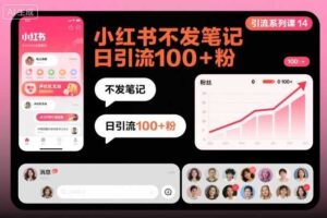 引流系列课14：小红书不发笔记日引流100+粉
