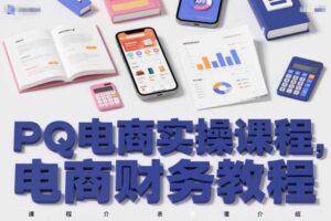 PQ电商实操课程，电商财务教程