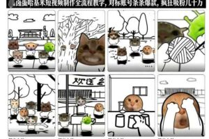 卤蛋哈基米短视频制作全流程教学，条条爆款，疯狂吸粉几十万