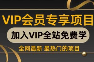 （16763期）零门槛做多多虚拟类目：机器人帮助发货回客服，轻运营，月入 1-5W 实操路径