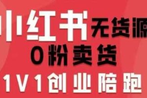 小红书无货源0粉电商课，开店准备、选品策略、笔记撰写、视频剪辑、数据分析、账号打造、资料文档（更新26年1月）