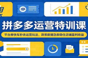 拼多多运营特训课:平台券快车秒杀运营玩法,异常数据急救稳住店铺盈利收益