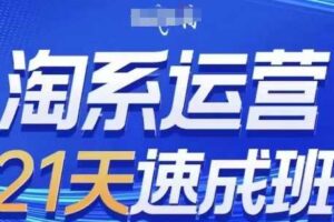 淘系运营21天速成班，0基础轻松搞定淘系运营，不做假把式，快速复制落地(更新26年6月)