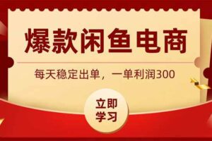(19046期)爆款闲鱼电商,卖法简单粗暴,长期稳定可做,一单利润300