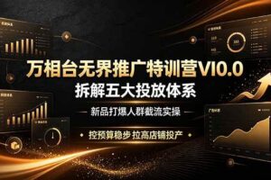 (19184期)万相台无界推广特训营VI0.0,拆解五大投放体系,新品打爆人群截流实操,控预算稳步拉高店铺投产