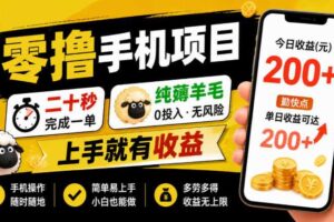 零撸手机项目,二十秒完成一单,纯薅羊毛,上手就有收益,勤快点单日收益可达200+【揭秘】