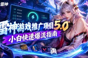 雷神游戏推广项目5.0-小白快速爆流指南，最的好一天收益就1K+