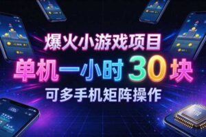 爆火小游戏撸金项目，实测单机一小时30+，可多手机矩阵操作，新手看完一遍就能上手【揭秘】