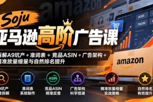 （20831期）Soju亚马逊高阶广告课：拆解A9坑产+准词表+竞品ASIN+广告架构+精准放量缩量与自然排名提升