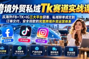 (20894期)跨境外贸私域Tk赛道实战课:从海外FB+TK+IG三大平台获客、私域聊单成交到订单交付、安全回款的完整跨境外贸运营体系