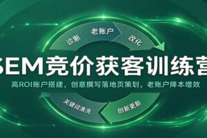 SEM竞价获客训练营:高ROI账户搭建,创意撰写落地页策划,老账户降本增效