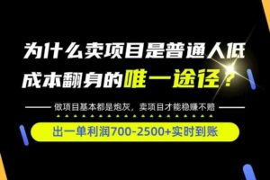 普通人如何靠互联网賺取自己的第一桶金!全类目实操型教学,看完你全都懂了!【揭秘】