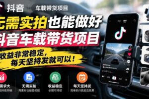 无需实拍也能做好抖音车载带货项目，收益非常稳定，每天坚持发就可以！